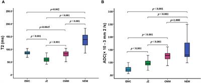 Feasibility of accelerated T2 mapping for the preoperative assessment of endometrial carcinoma